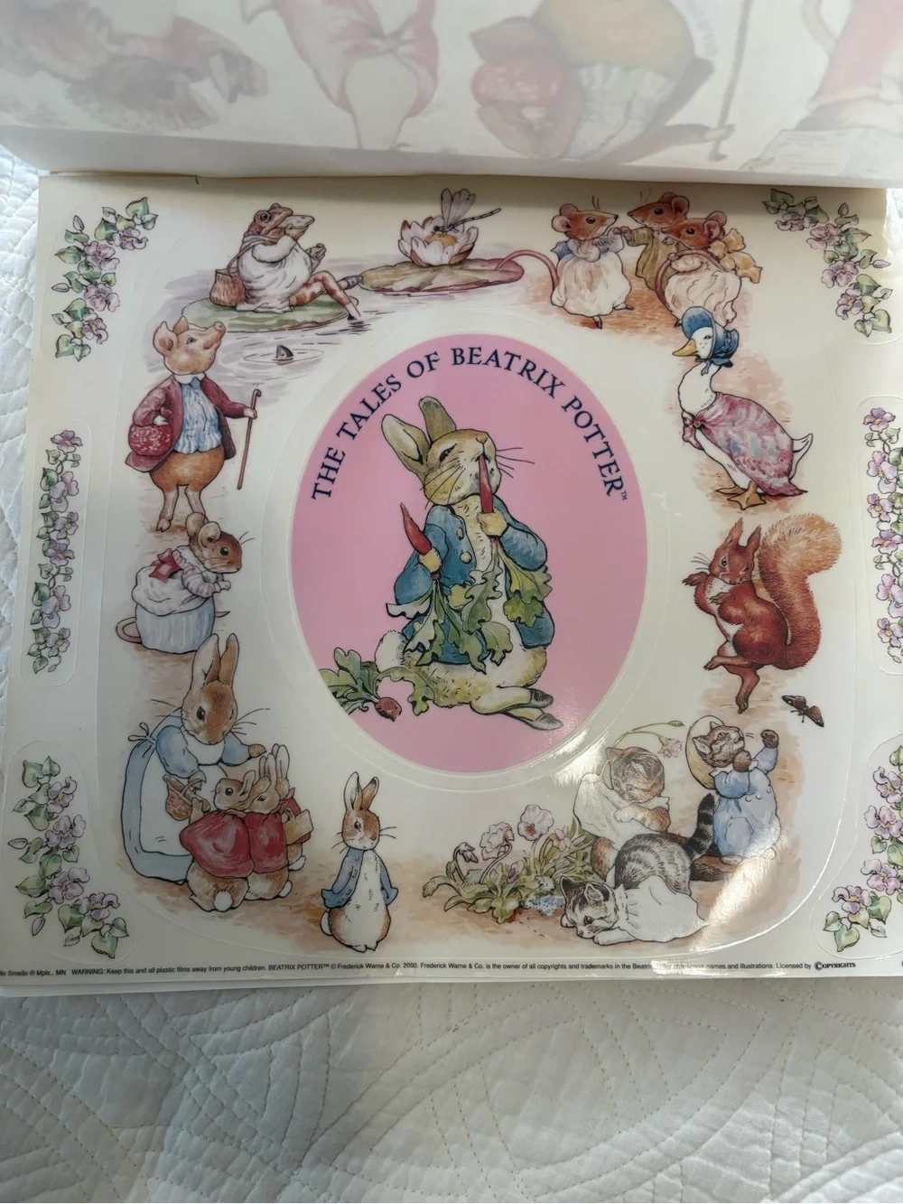 Pink Peter Rabbit Decorative Window Clings